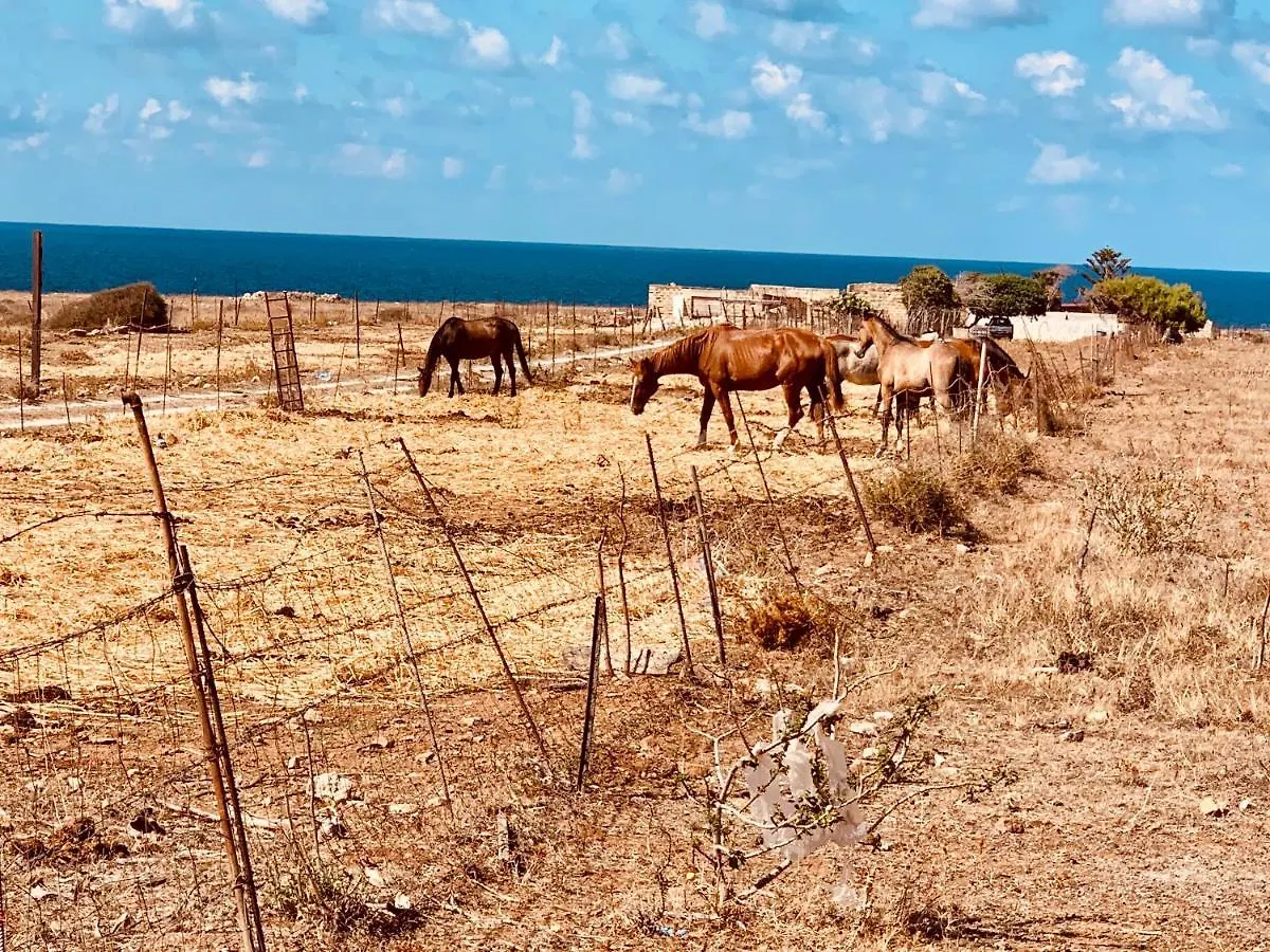 Appartamento Il Pomodoro San Vito Lo Capo